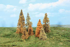 042-2178 - N/TT/H0 Lärchen herbstlich, 7 - 11 cm (7 Stück)